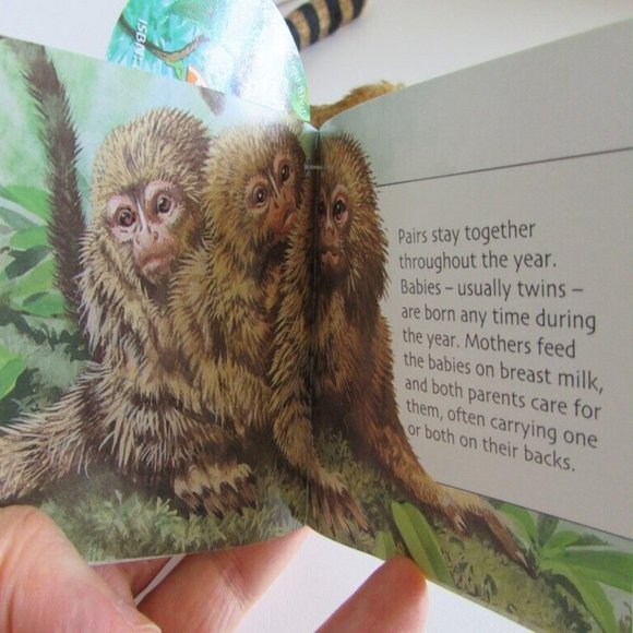 PYGMY MARMOSET MONEY 11" long total BENDABLE TAIL HOOK/LOOP PAWS Stuffed Animal - Picture 9 of 14